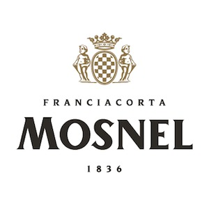 Azienda Agricola Mosnel logo