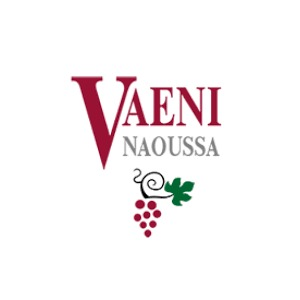 Vaeni logo