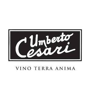 Umberto Cesari logo