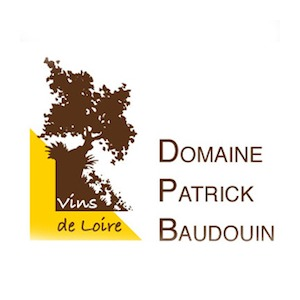 Domaine Patrick Baudouin logo