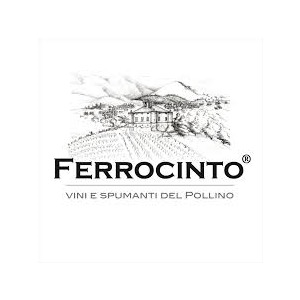 Tenute Ferrocinto logo