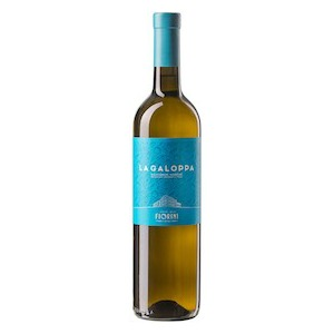 Marche IGP “Contrada La Galoppa” Sauvignon Blanc 