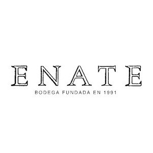 Enate logo