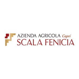 Cantina Scala Fenicia logo