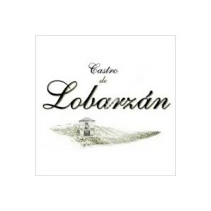 Castro de Lobarzán logo
