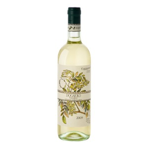 Toscana IGP “Dogajolo” Bianco 