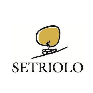 Setriolo logo