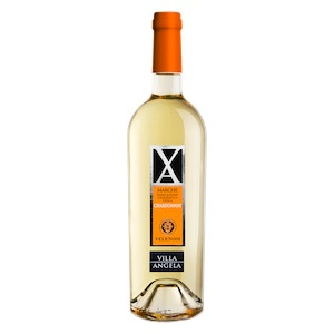 Marche IGP “Villa Angela” Chardonnay 
