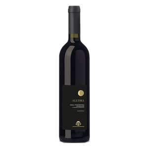 Colli Piacentini DOC “Aludra” Barbera 