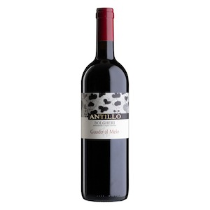 Bolgheri DOC “Antillo” 