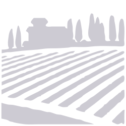 Celler Maciá logo